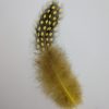 plumas de colores
