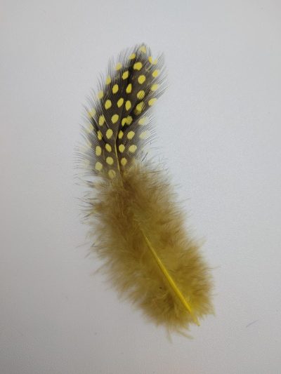 plumas de colores