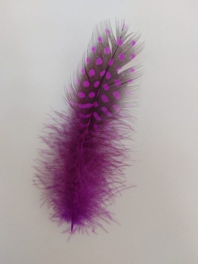 plumas de colores - Imagen 3