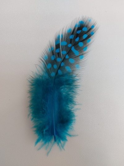 plumas de colores - Imagen 5