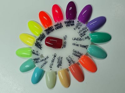 GEL PAINT FASIONAIL BOTE BLANCO 5GR